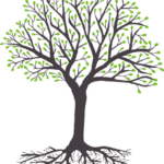 Webmarketing Communication digitale Consultant SEO strategie formation